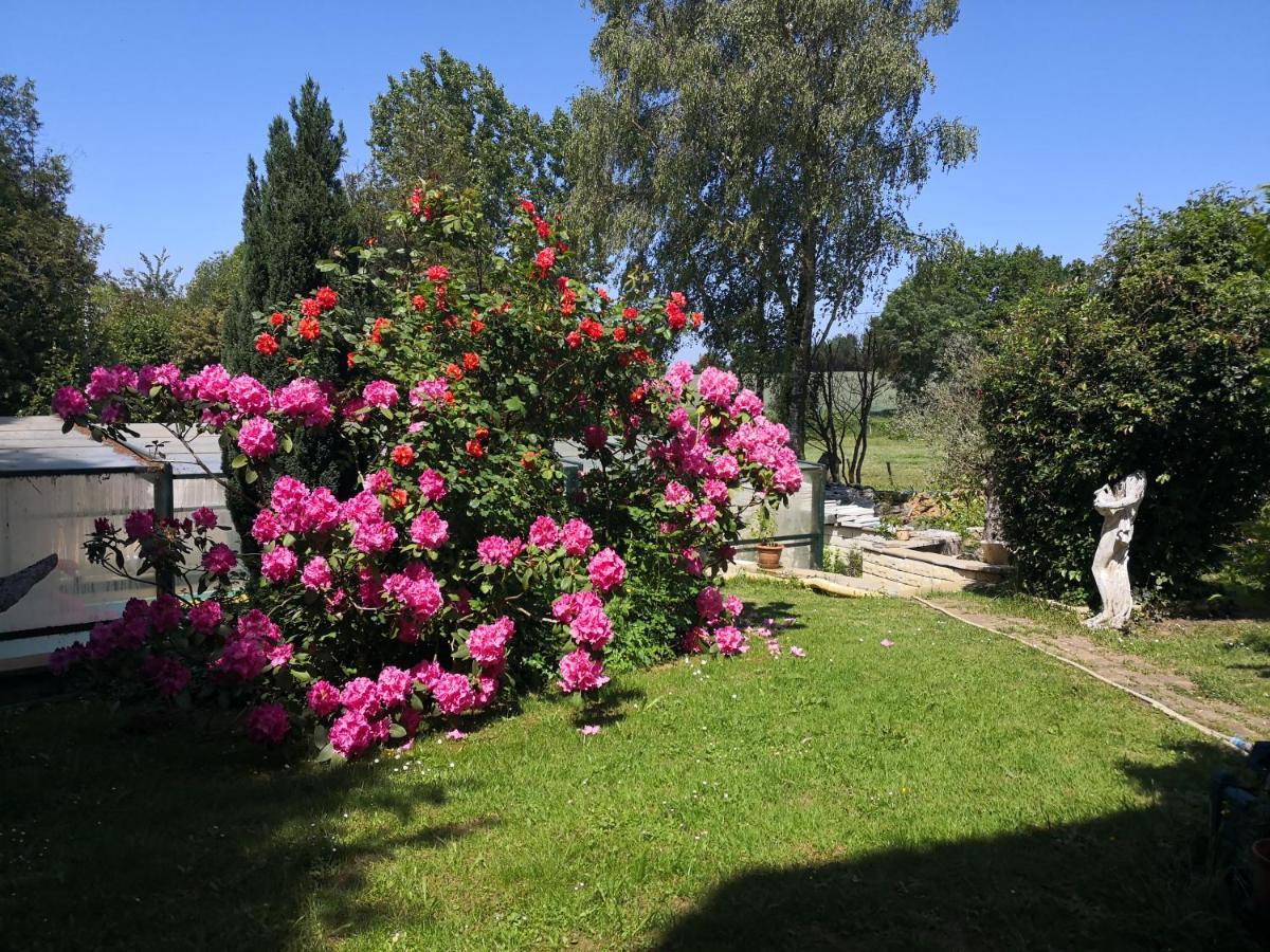 Au Jardin Fleuri Bed and Breakfast Secondigny Buitenkant foto